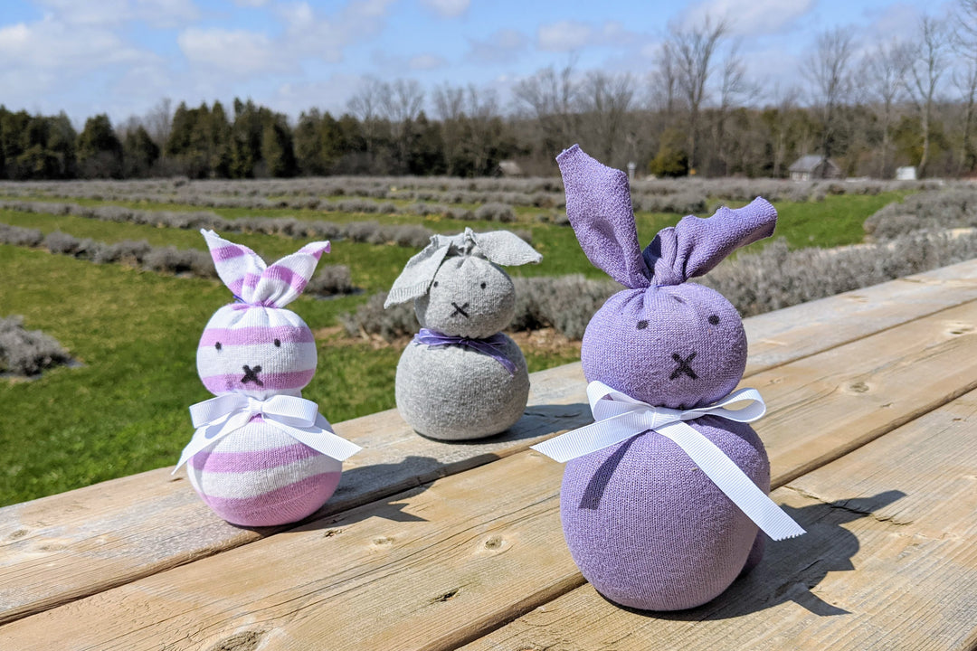 Calming Lavender Sock Bunnies