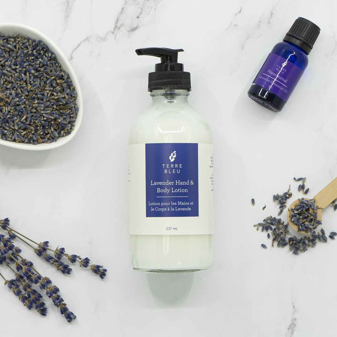 Lavender Hand & Body Lotion