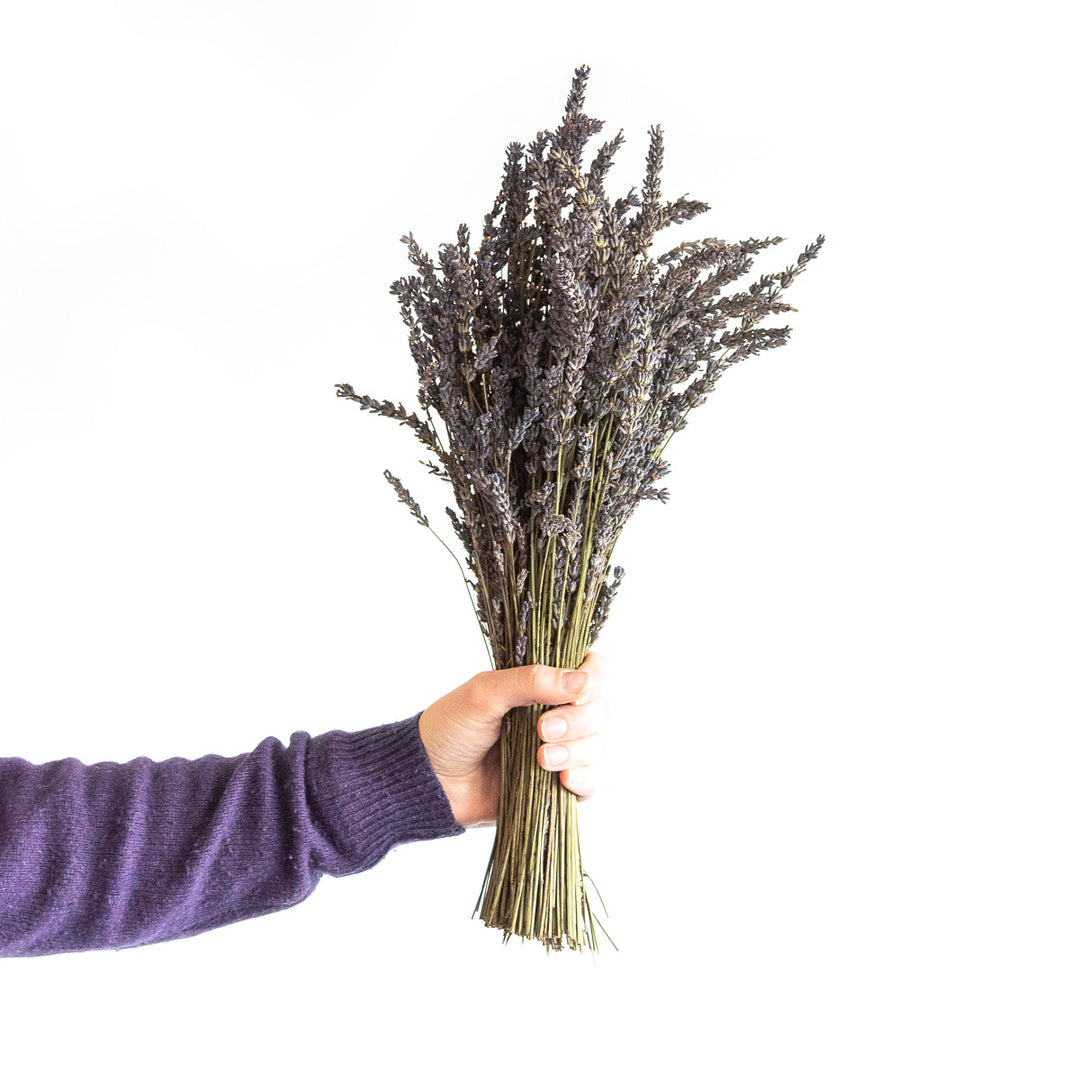 Dried French Lavender Bouquet