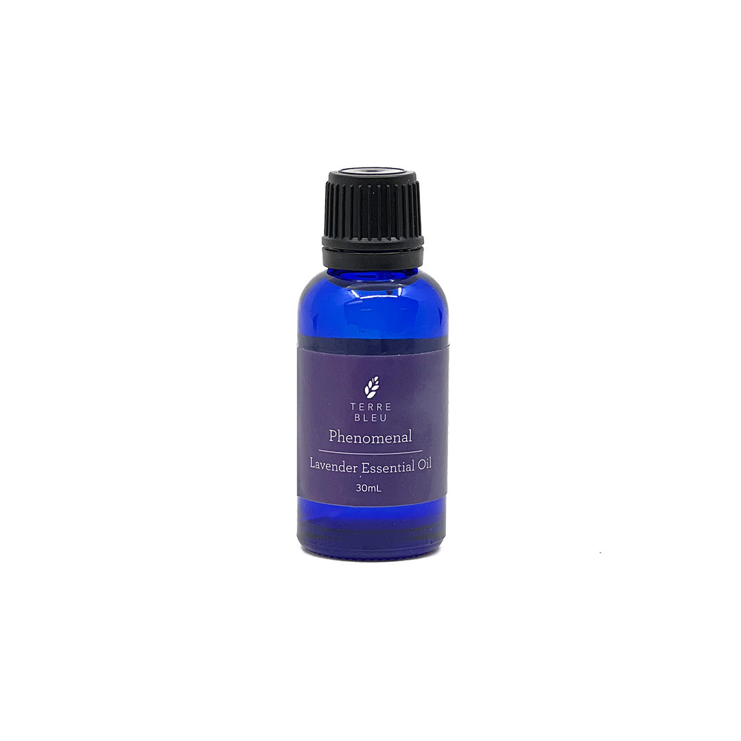 Phenomenal - French Lavender Essential Oil