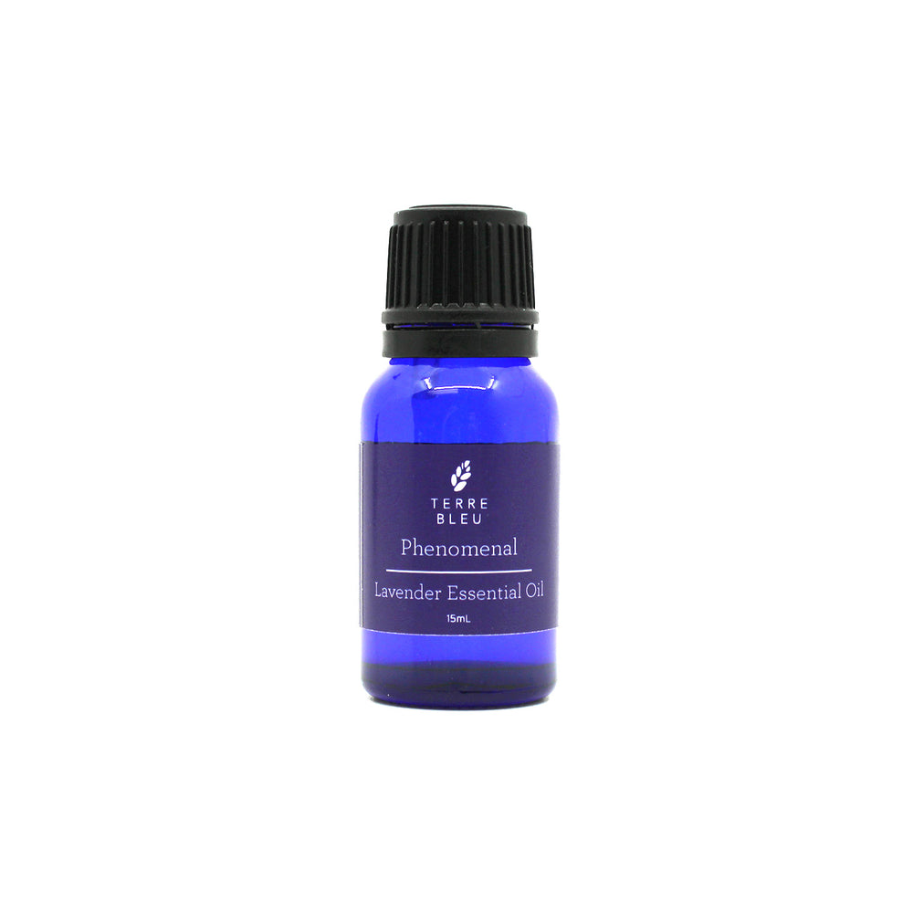 Phenomenal - French Lavender Essential Oil