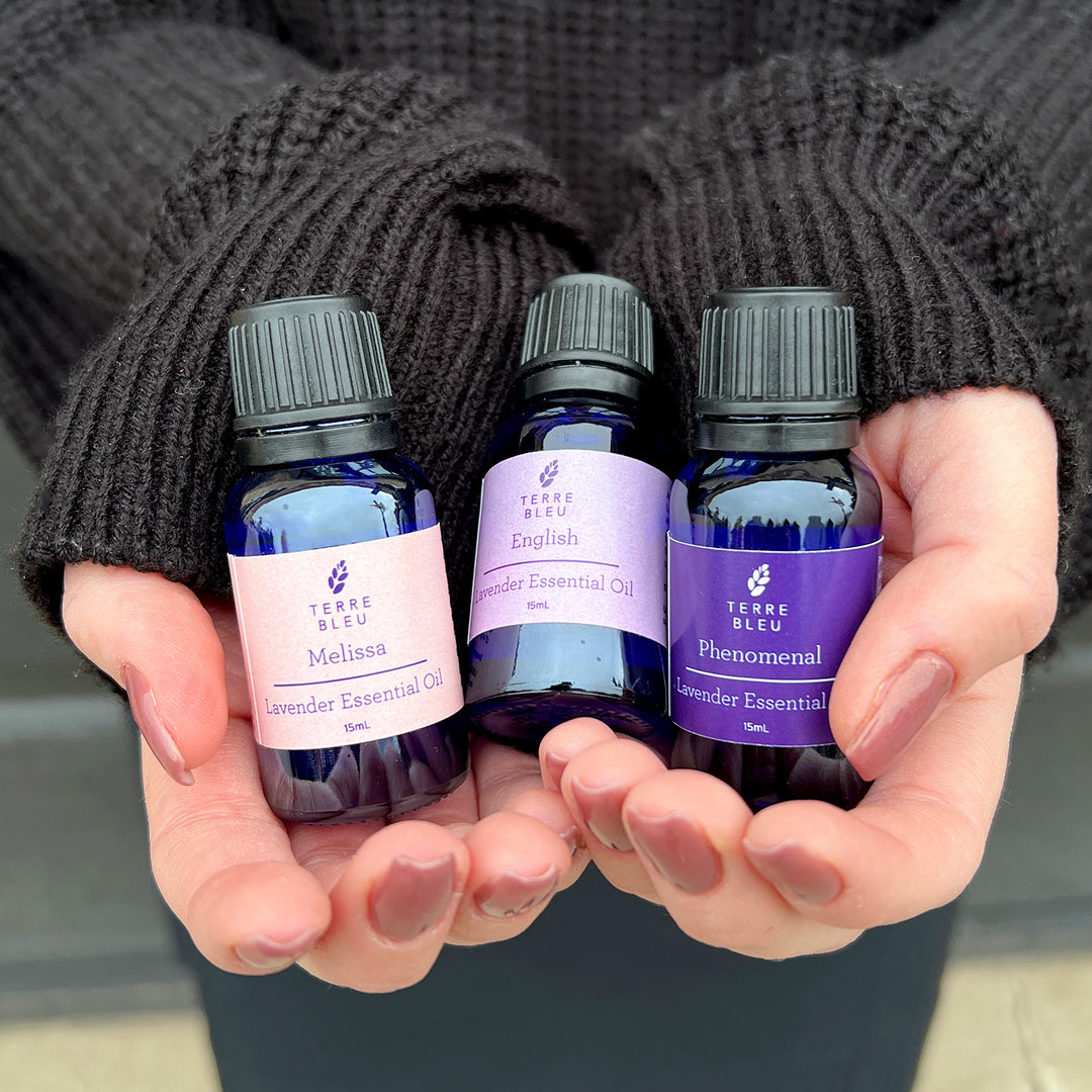 Phenomenal - French Lavender Essential Oil